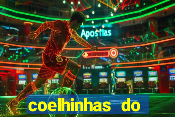 coelhinhas do brasil recife