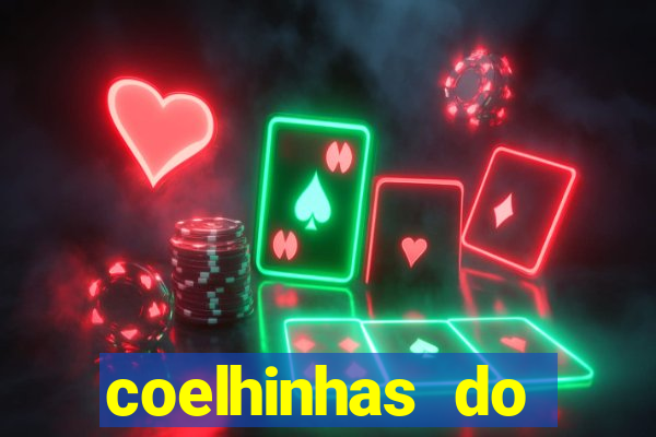 coelhinhas do brasil recife