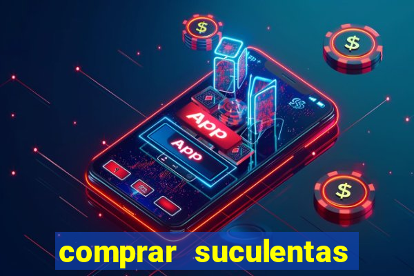 comprar suculentas direto do produtor