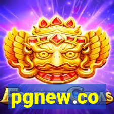 pgnew.co