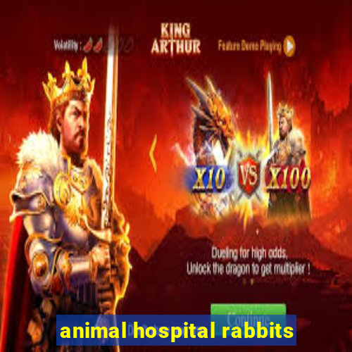 animal hospital rabbits