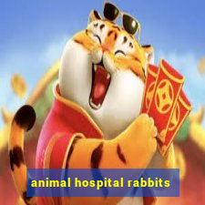 animal hospital rabbits