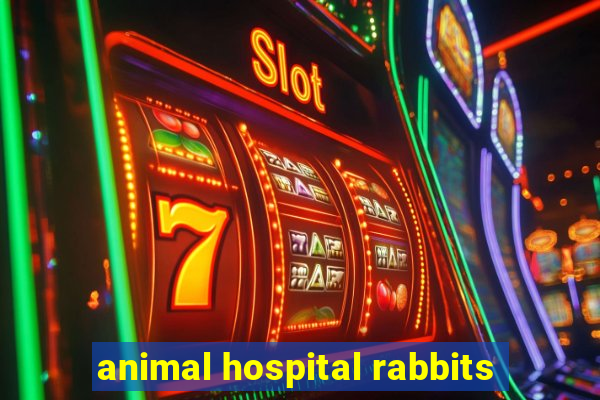 animal hospital rabbits