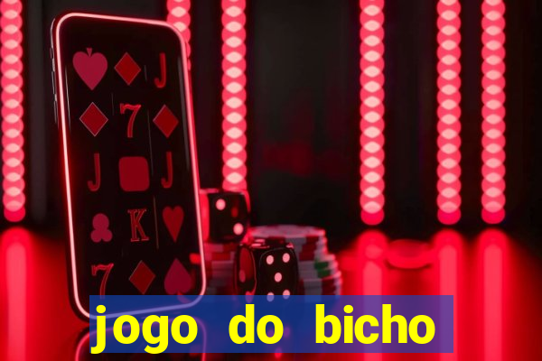 jogo do bicho crash bingo