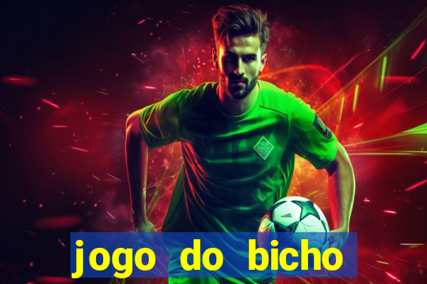 jogo do bicho crash bingo