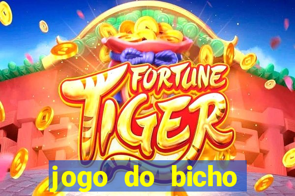 jogo do bicho crash bingo