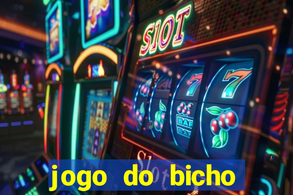 jogo do bicho crash bingo