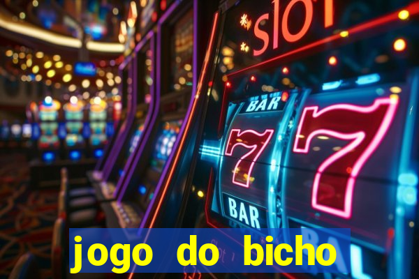 jogo do bicho crash bingo