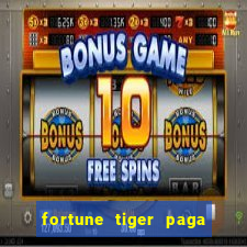 fortune tiger paga de madrugada