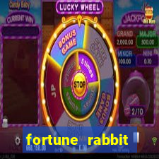 fortune rabbit horario pagante