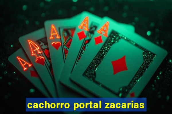 cachorro portal zacarias