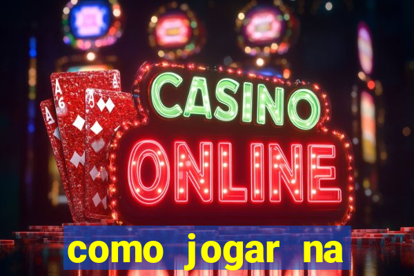 como jogar na seninha online