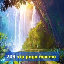 234 vip paga mesmo