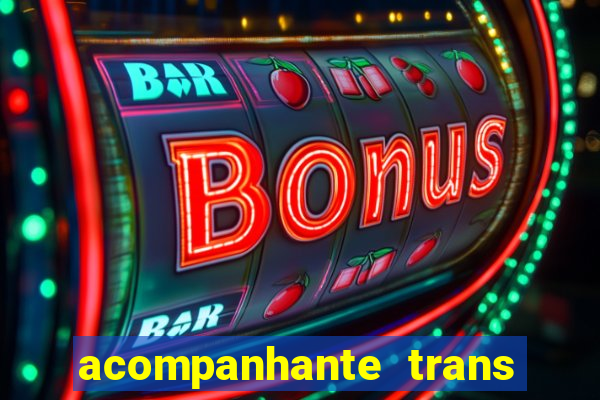 acompanhante trans em santos