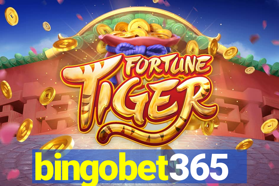 bingobet365