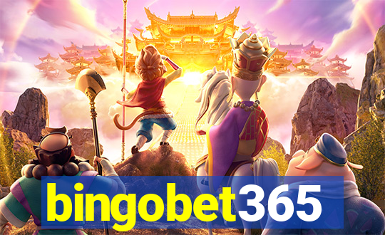 bingobet365