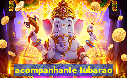 acompanhante tubarao