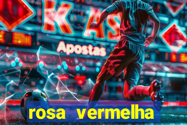 rosa vermelha (letra e cifra)