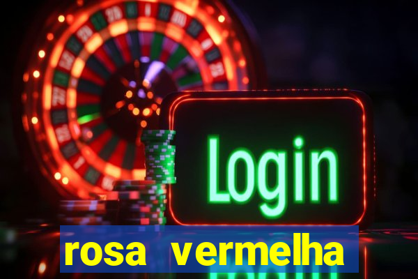 rosa vermelha (letra e cifra)