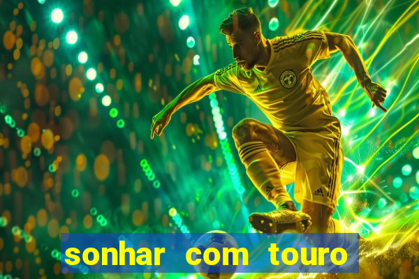 sonhar com touro bravo no mundo espiritual