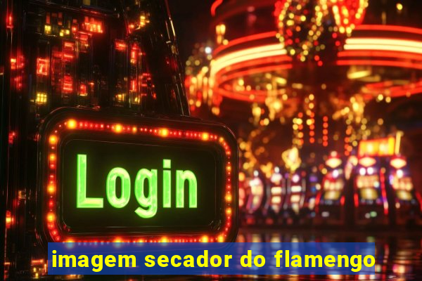 imagem secador do flamengo