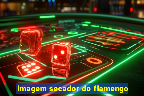 imagem secador do flamengo