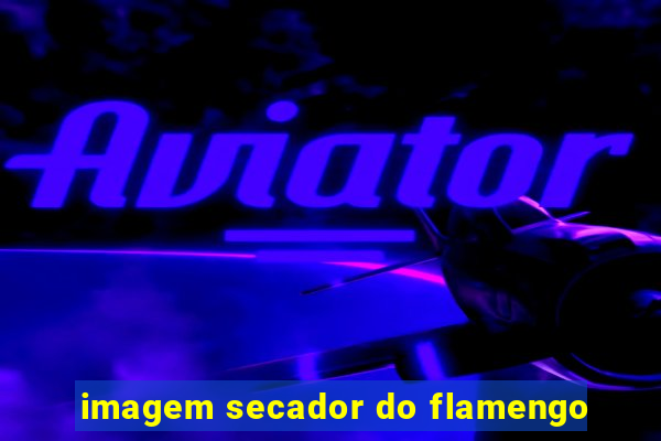 imagem secador do flamengo