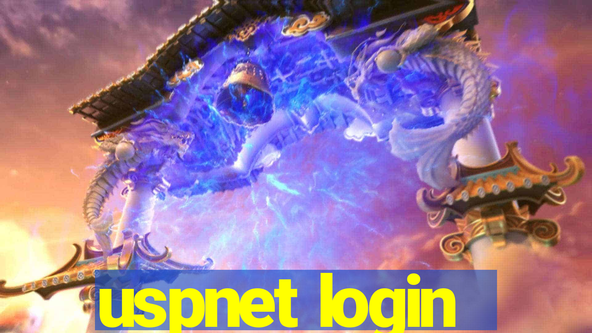 uspnet login