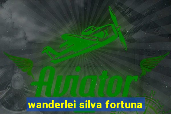 wanderlei silva fortuna