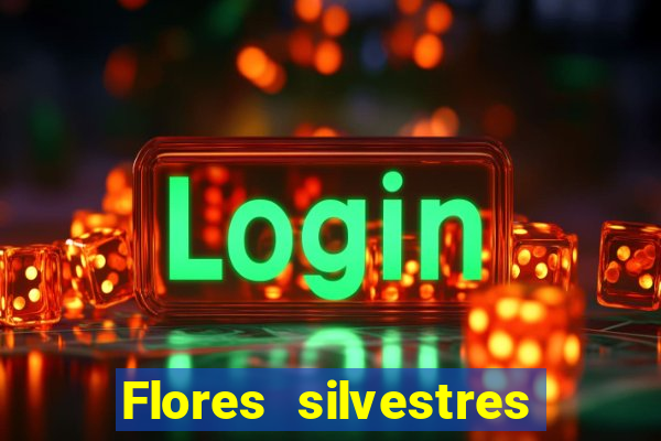 Flores silvestres brasileiras 25