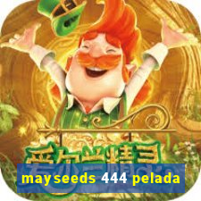 mayseeds 444 pelada