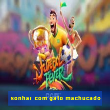 sonhar com gato machucado