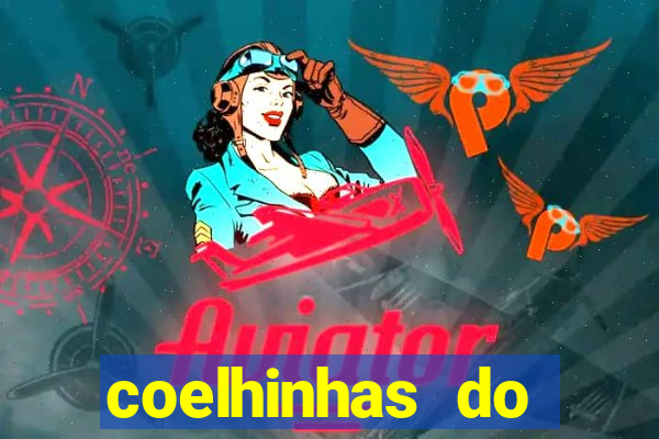 coelhinhas do brasil site