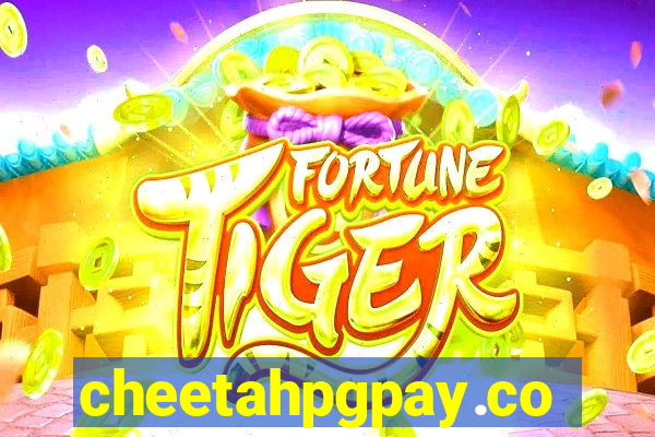 cheetahpgpay.com