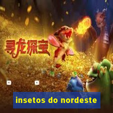 insetos do nordeste