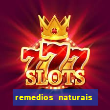 remedios naturais para diabetes