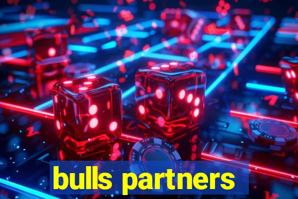 bulls partners