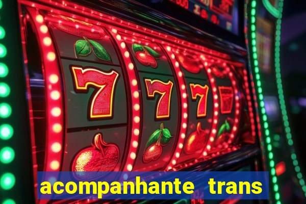 acompanhante trans baixada fluminense