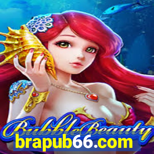 brapub66.com