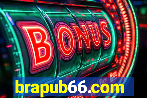 brapub66.com