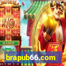 brapub66.com