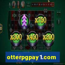 otterpgpay1.com