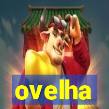 ovelha