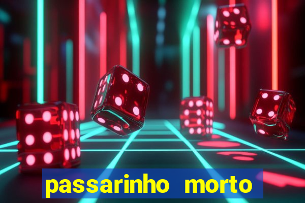 passarinho morto significado espiritual