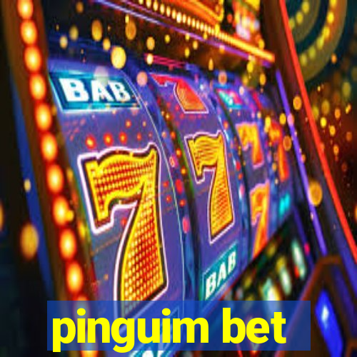 pinguim bet