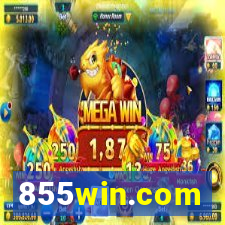 855win.com