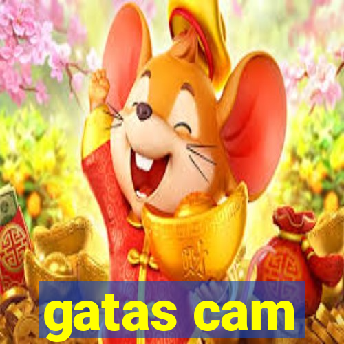 gatas cam