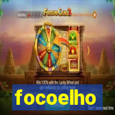 focoelho