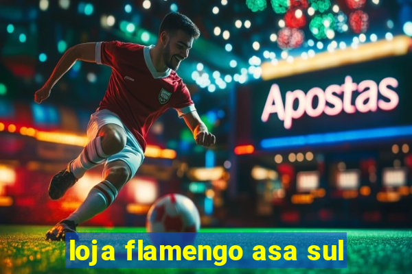 loja flamengo asa sul