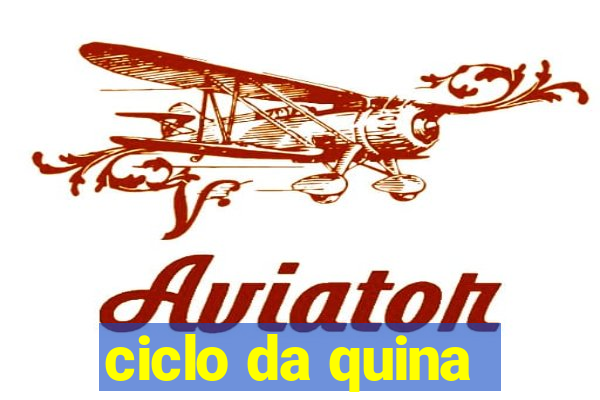 ciclo da quina